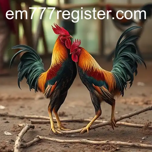 The Complex Landscape of Cockfighting: History, Culture, and Ethics